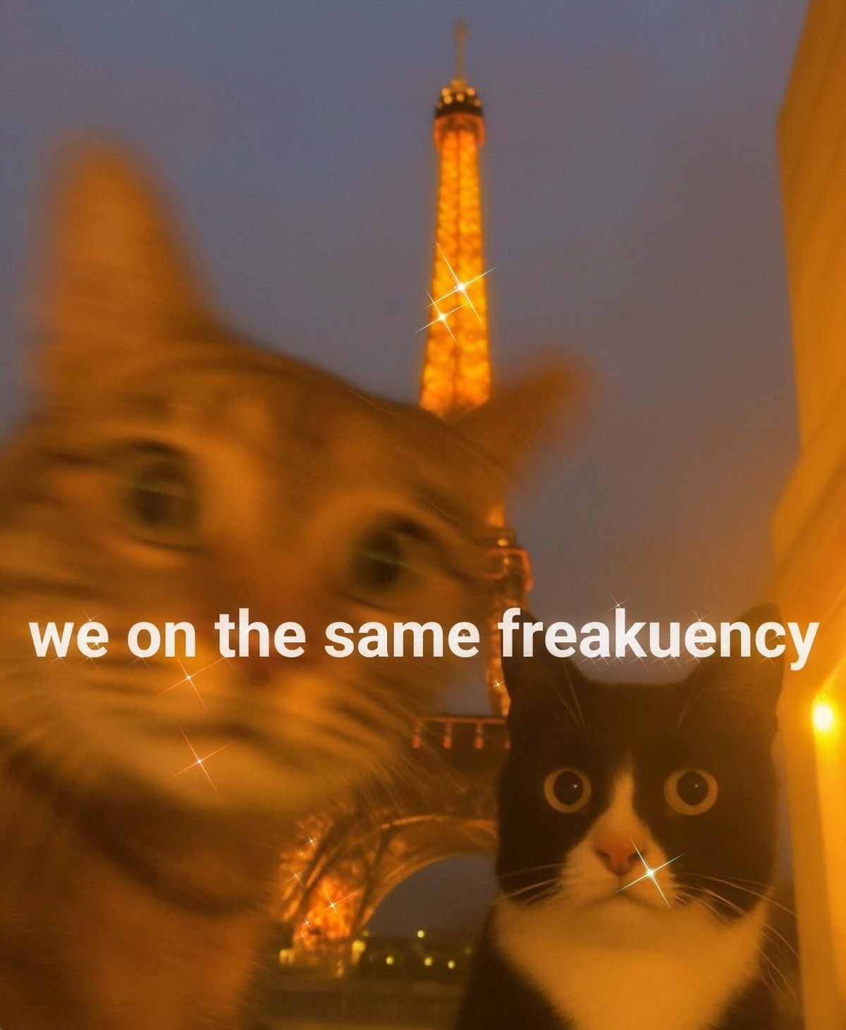Memes