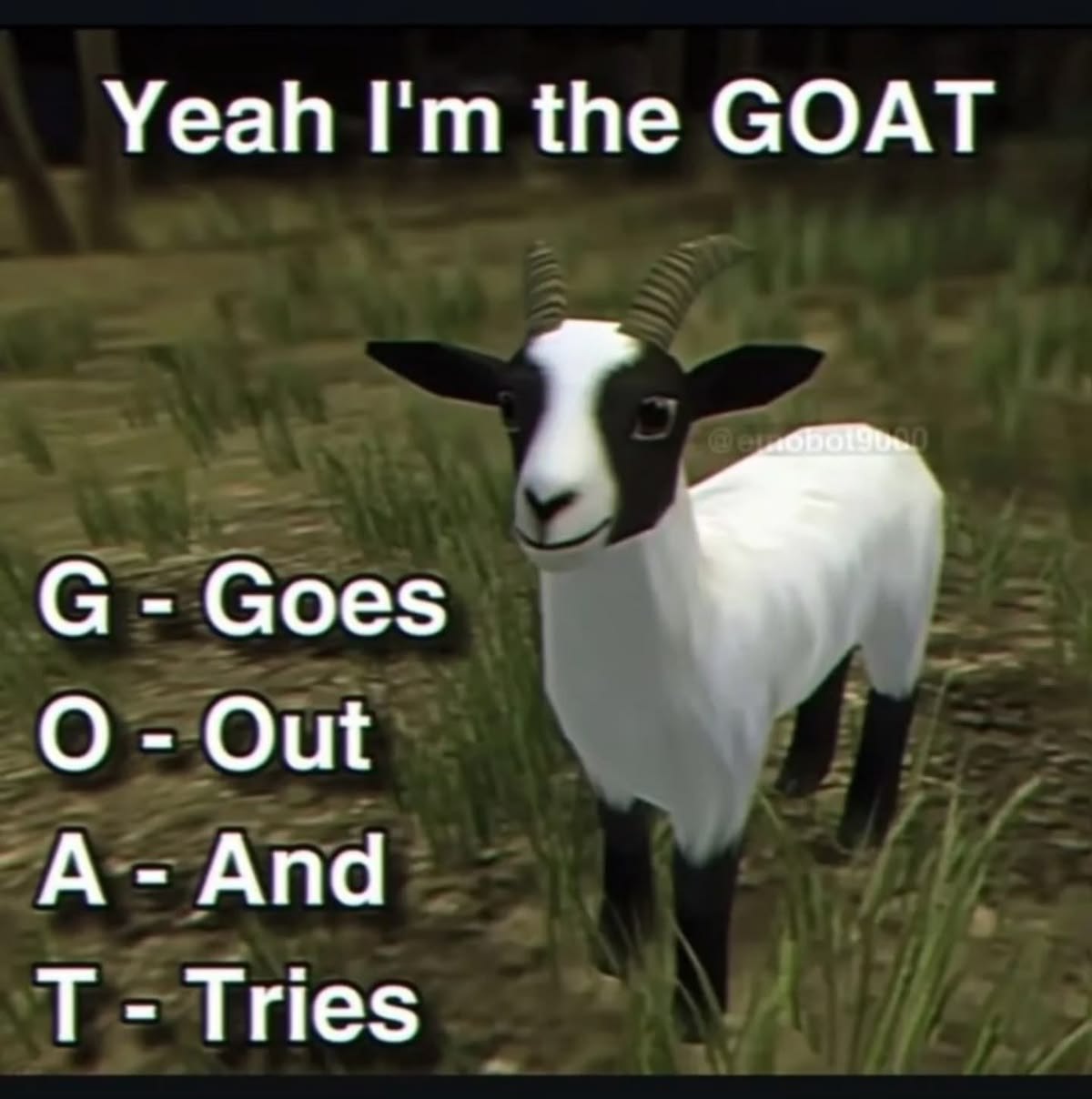 Memes