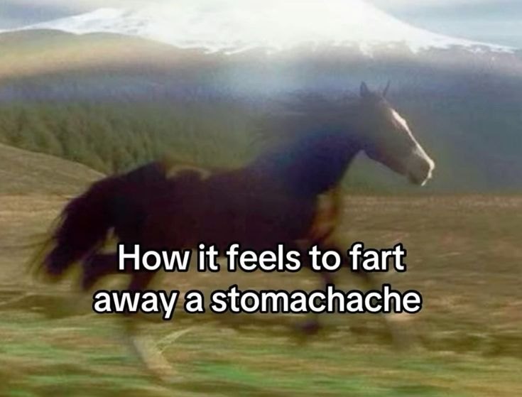 Memes
