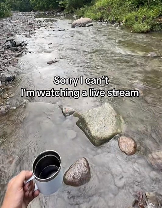 Memes