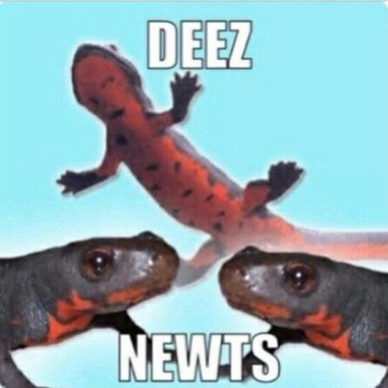 gotteem