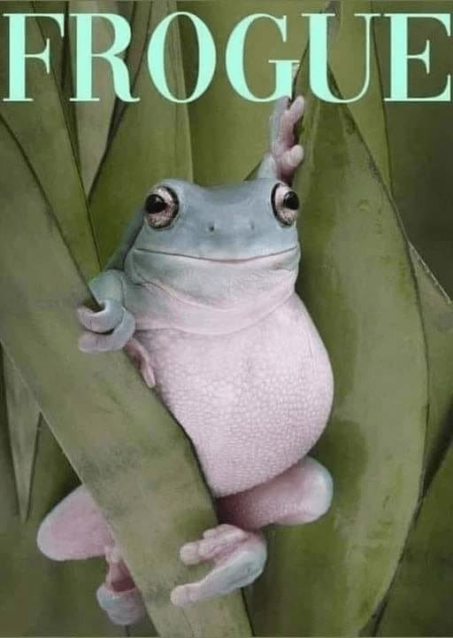 Memes
